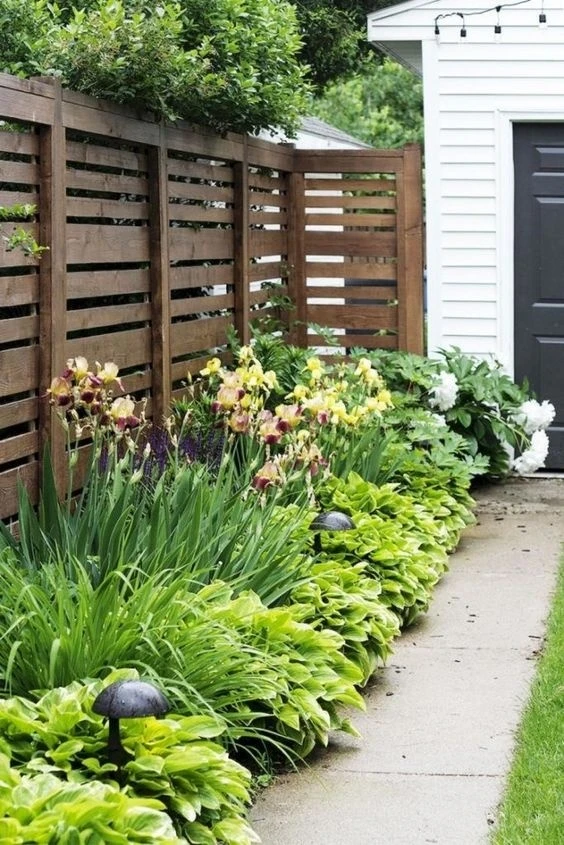 Mê đắm khu vườn rộng chưa đến 2m2 mà cây xanh ngập lối