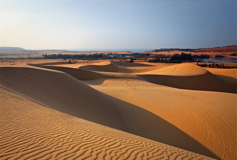 Mướt mắt trước phong cảnh của sa mạc Sahara phiên bản Việt