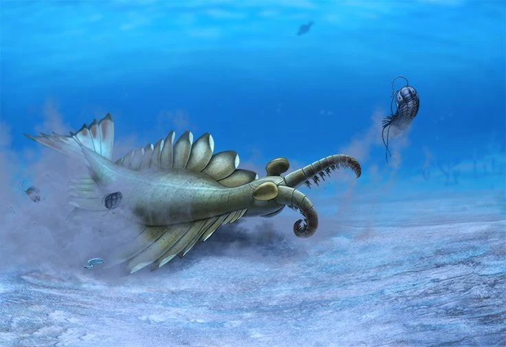 Rùng mình diện mạo sát thủ săn mồi từng thống trị đại dương 