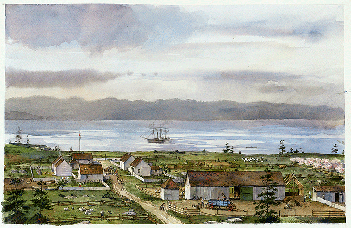 Vụ việc bùng phát vào ngày 15/6/1859 ở đảo San Juan, vùng lãnh thổ đang tranh chấp ở Anh và Mỹ. Đây là nơi sinh sống của các cư dân mang quốc tịch của cả Mỹ và Anh.