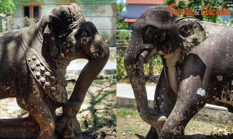 Soi “vợ chồng” voi ngàn tuổi vừa được công nhận là Bảo vật quốc gia