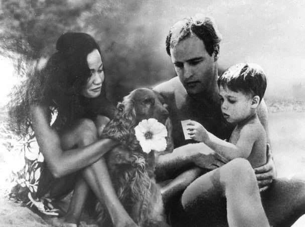 Cơn ác mộng hãi hùng của dòng họ siêu sao Hollywood