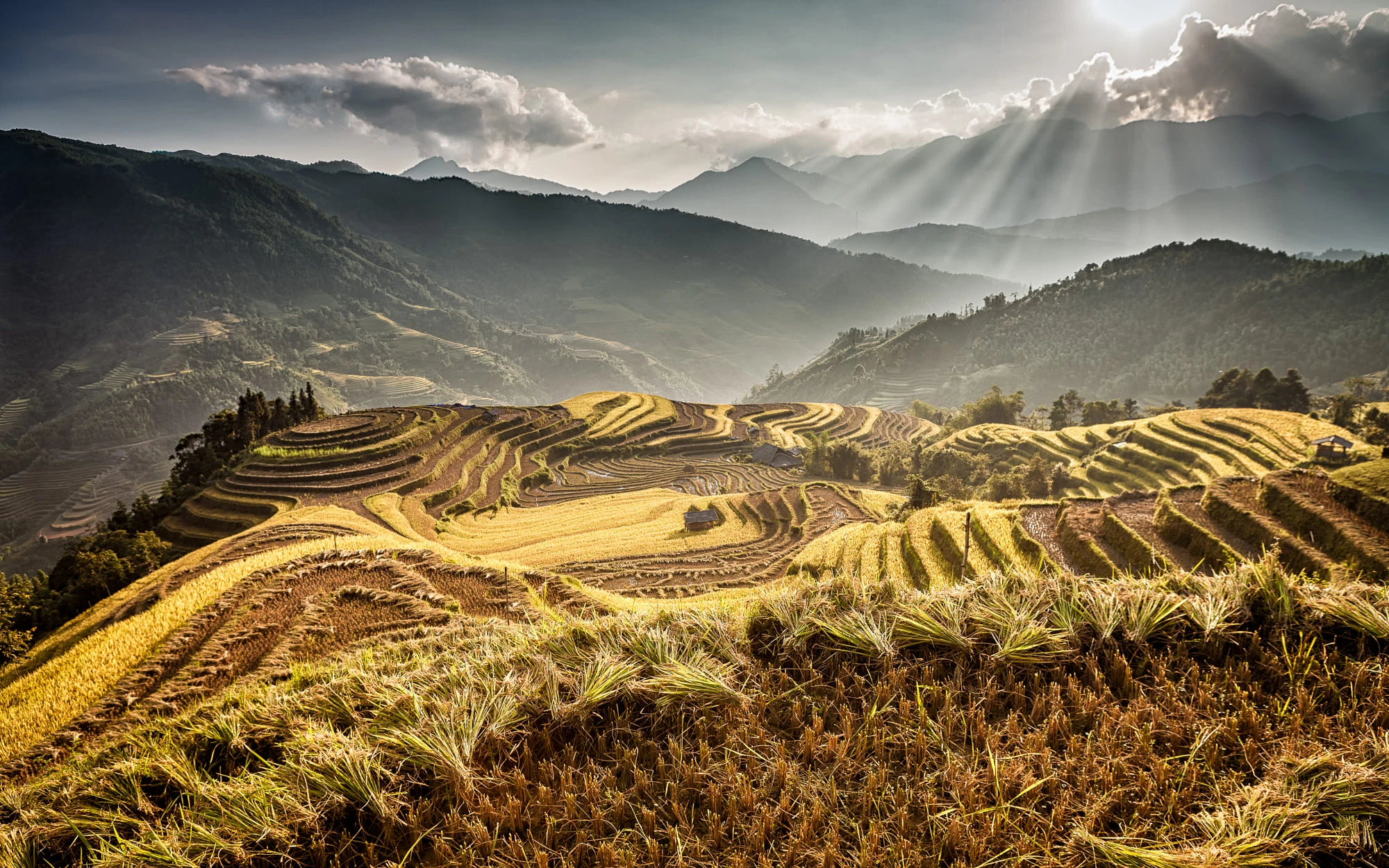 Hà Giang đẹp nín thở qua ống kính du khách quốc tế
