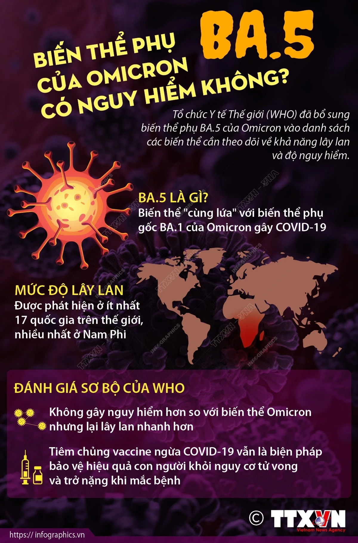 Biến thể phụ BA.5 của Omicron có nguy hiểm không?