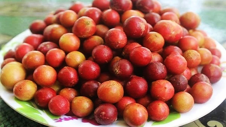 Loại quả quê 90% người thành phố không biết tên, giờ thành đặc sản