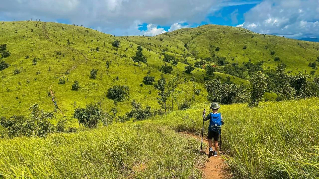 Thảo nguyên xanh ở Đắk Lắk đẹp mê ly được giới trẻ săn đón
