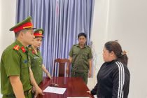 Nữ giám đốc doanh nghiệp bị khởi tố về hành vi trốn thuế
