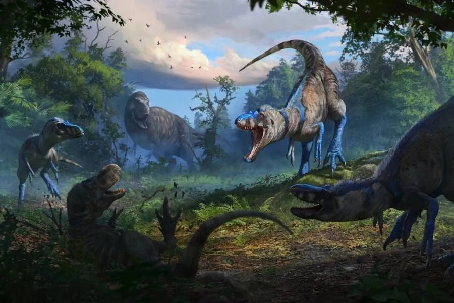 Hóa thạch 'khủng long bạo chúa' hóa ra là loài không ngờ