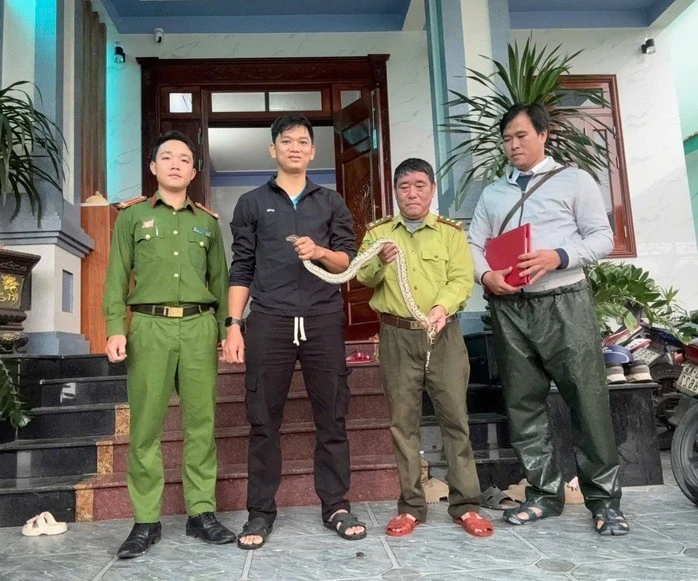 Bắt gặp trăn đất quý hiếm trên đường, người dân Quảng Trị lập tức báo