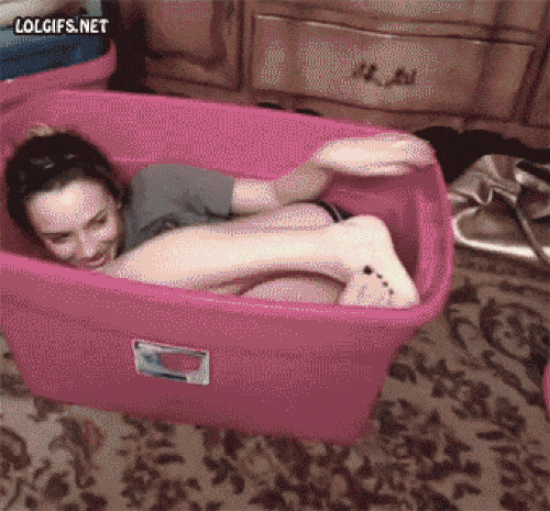 Cái này mới đúng là "nghịch ngu" này.