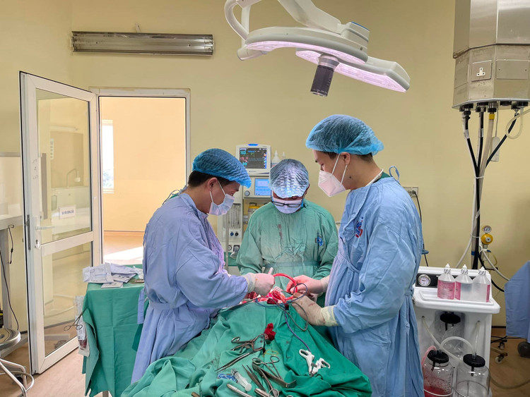 Tạo khung lưới titan che khuyết hổng cho bệnh nhân ung thư khẩu cái khổng lồ khau-cai.jpg