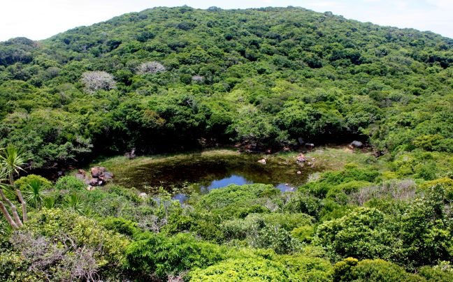 Núi Chúa - Khu dự trữ sinh quyển mới của thế giới. Ảnh: Thành Trung. nui-chua-khu-du-tru-sinh-quyen-moi-cua-the-gioi-anh-thanh-trung.jpg