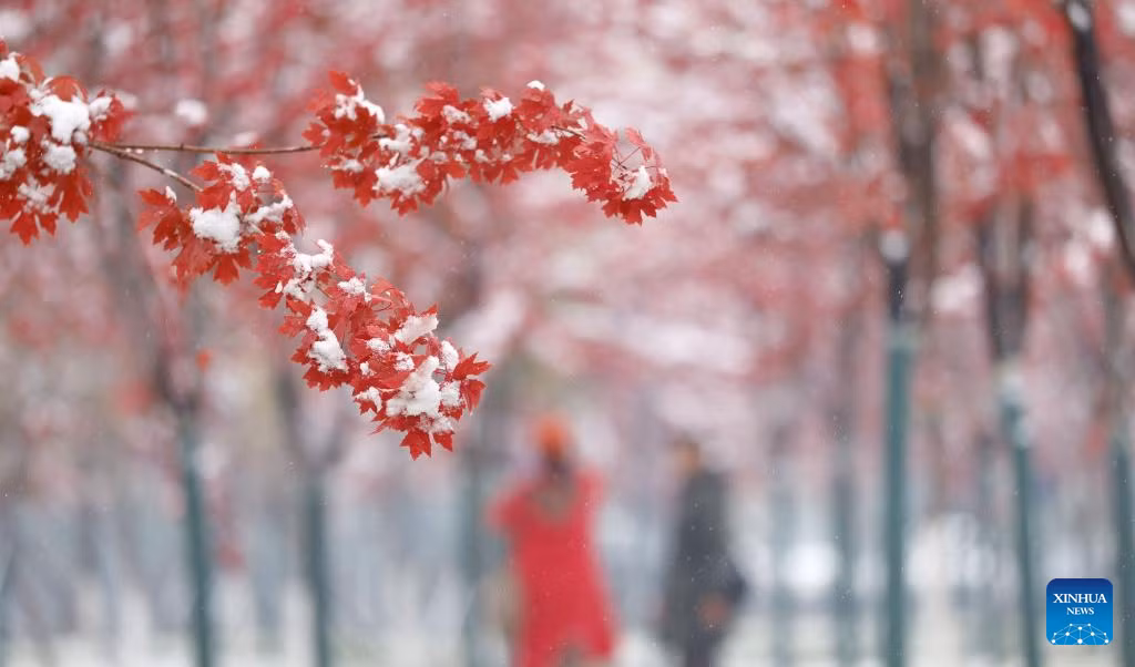 Các du khách chụp ảnh tại Thế giới băng tuyết ở Cáp Nhĩ Tân, tỉnh Hắc Long Giang.