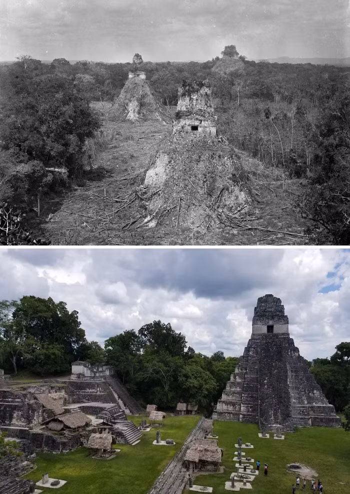 Di tích Tikál ở Guatemala năm 1890 (ảnh trên) so với năm 2023.