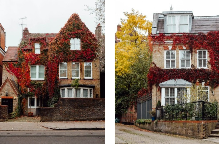 Một góc yên bình trong khu phố ở Hampstead vào mùa thu.