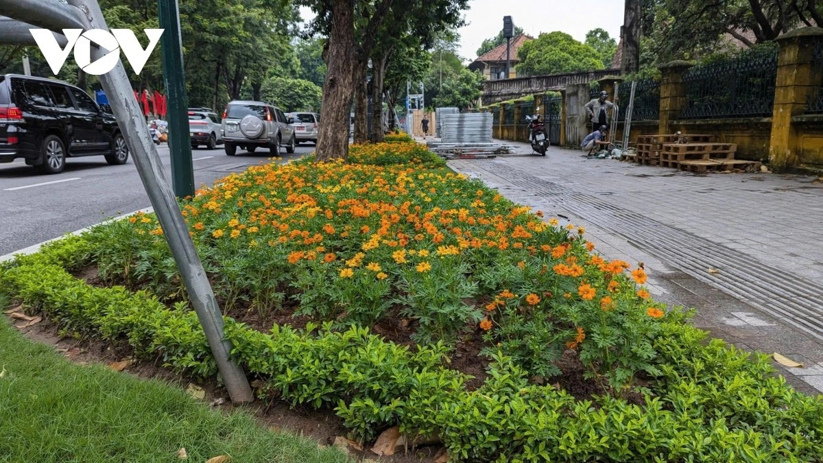 Những ngày này, Hà Nội như khoác lên mình tấm “áo mới” rực rỡ, khắp nơi ngập tràn sắc cờ, hoa. Trên tuyến phố Điện Biên Phủ, những luống hoa đủ màu vừa được trồng mới, khoe sắc dưới nắng thu, làm con đường dẫn vào Lăng Chủ tịch Hồ Chí Minh thêm trang trọng và lộng lẫy.