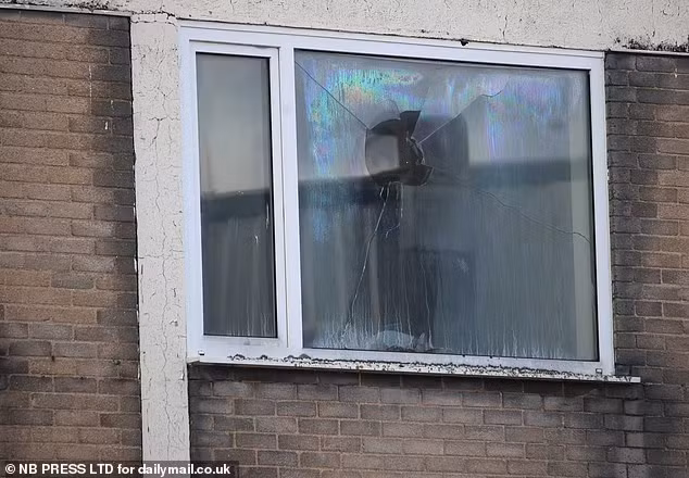 "Phần lớn tội phạm là những người chuyển đến đây từ các quốc gia khác", Andy nói. Ảnh: NB Press.