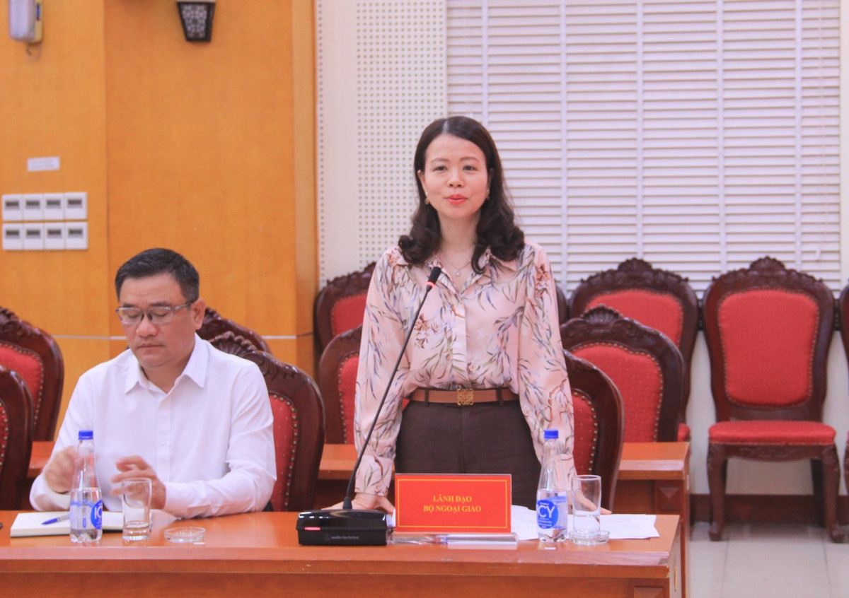 Thứ trưởng Bộ Ngoại giao Nguyễn Minh Hằng phát biểu tại buổi công bố quyết định thanh tra.