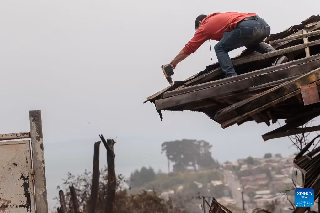 Tổng thống Chile Gabriel Boric đã ban bố tình trạng thảm họa tại vùng Biobio ở miền trung và vùng Ñuble lân cận vào ngày 18/1. Quyết định này cho phép lực lượng chức năng phối hợp chặt chẽ với quân đội để khống chế các vụ cháy rừng. Ảnh: Xinhua.