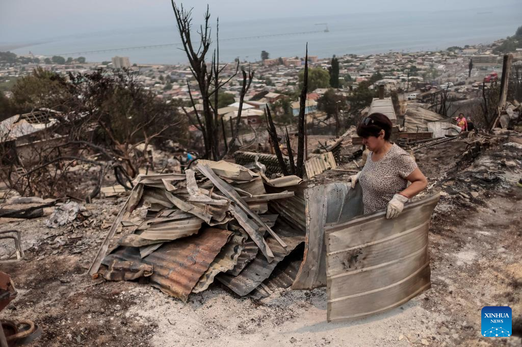 Cảnh sát Chile đang mở cuộc điều tra nguyên nhân vụ cháy rừng. Ảnh: Xinhua.