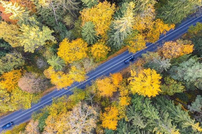 Con đường tuyệt đẹp vào mùa thu nhìn từ trên cao.
