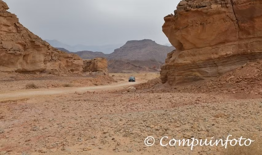 Công viên này có dịch vụ cho thuê xe cho du khách khám phá.