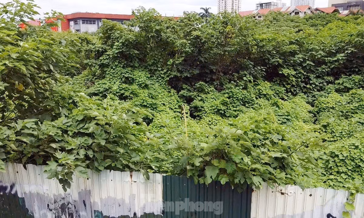 "Không hiểu vì lý do gì mà khu đất này quây tôn bỏ hoang suốt nhiều năm qua không thấy chủ đầu tư triển khai xây dựng. Với vị trí nằm ở trung tâm Thủ đô mà khu đất bỏ hoang rất lãng phí, nếu chủ đầu tư không triển khai thì thành phố cần thu hồi dự án để phục vụ cho mục đích công cộng", ông Nguyễn Sơn - người dân sống gần dự án kiến nghị.