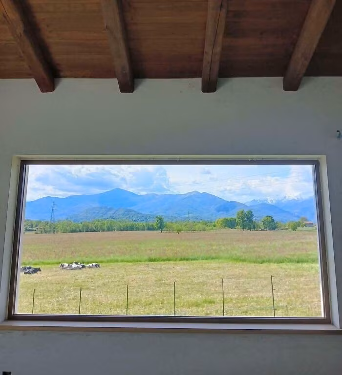 Cửa sổ này trông giống như một bức tranh.