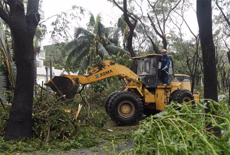 Các nhân viên dọn dẹp cây đổ trên đường ở Tam Á sau khi bão Kajiki đi qua. Ảnh: THX.