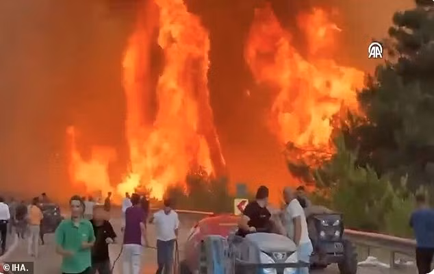 Theo Văn phòng thống đốc tại Bursa, hơn 1.760 người đã được sơ tán an toàn khỏi các ngôi làng ở phía đông bắc trong khi khoảng 2.000 lính cứu hỏa đang chiến đấu với ngọn lửa. Ảnh: IHA.