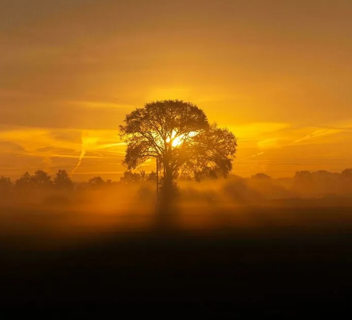 Bình minh tuyệt đẹp ở Hà Lan.