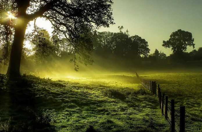 Một buổi sáng ở Anh.