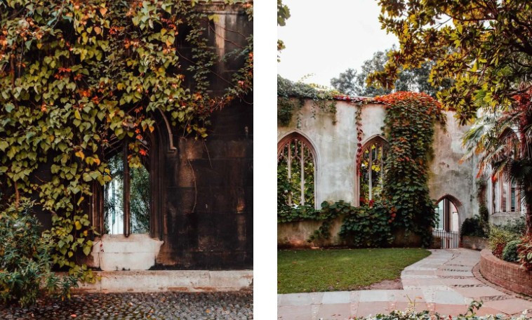 Vào mùa thu, không gian xanh mướt ở khu vực nhà thờ St Dunstan-in-the-East chuyển sang sắc vàng, mang vẻ đẹp ấn tượng.