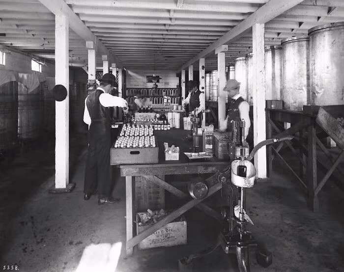 Công nhân đóng chai dầu ô liu ở thung lũng San Fernando, Los Angeles, năm 1900.