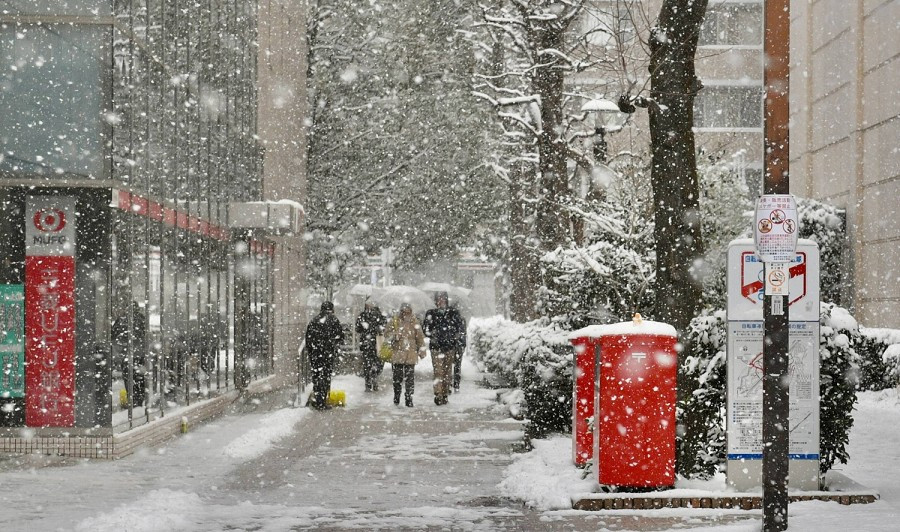 Các nhà chức trách cảnh báo rằng nhiệt độ ở mức đóng băng đã khiến đường sá trở nên trơn trượt, làm tăng nguy cơ xảy ra tai nạn giao thông và tắc nghẽn giao thông trên toàn khu vực đô thị Tokyo. Ảnh: Tuyết rơi bên ngoài ga Shin-Yurigaoka ở Kawasaki sáng 8/2. Ảnh: Japan Times.