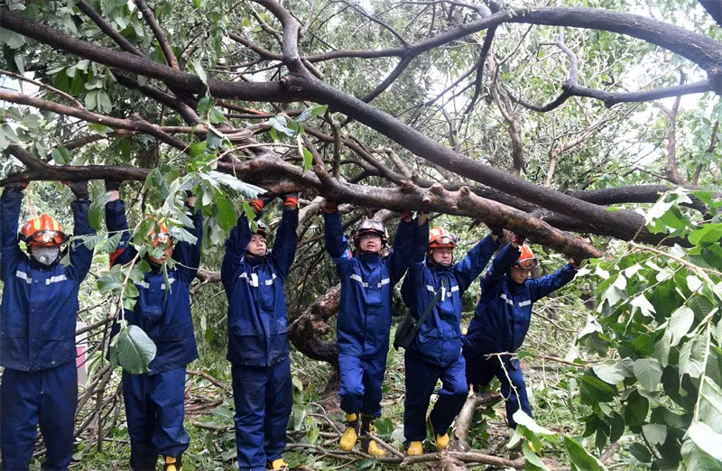 Được biết, tại Tam Á, hơn 20.000 cây xanh bị bật gốc hoặc gãy cành và hơn 7.000 hộ gia đình bị cắt nước do bão. Ảnh: THX.