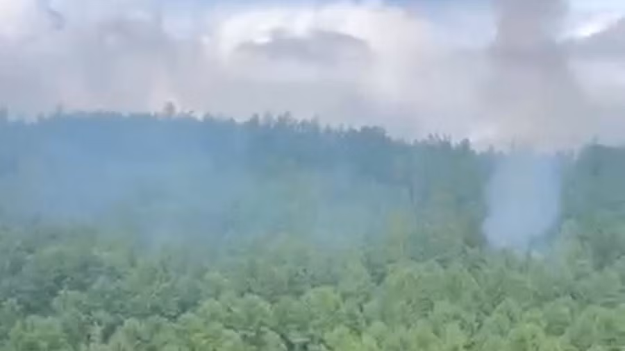 Hiện vẫn chưa rõ liệu có ai trên máy bay sống sót sau vụ tai nạn hay không, nhưng theo RIA Novosti, báo cáo sơ bộ từ các cơ quan cứu hộ cho thấy tất cả mọi người đều thiệt mạng. Ảnh: Cơ quan Vận tải Hàng không Liên bang Nga.