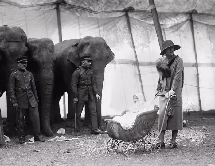 Paulina Longworth, 15 tháng tuổi, được mẹ, Alice Roosevelt Longworth, đưa đi tham quan rạp xiếc năm 1926.