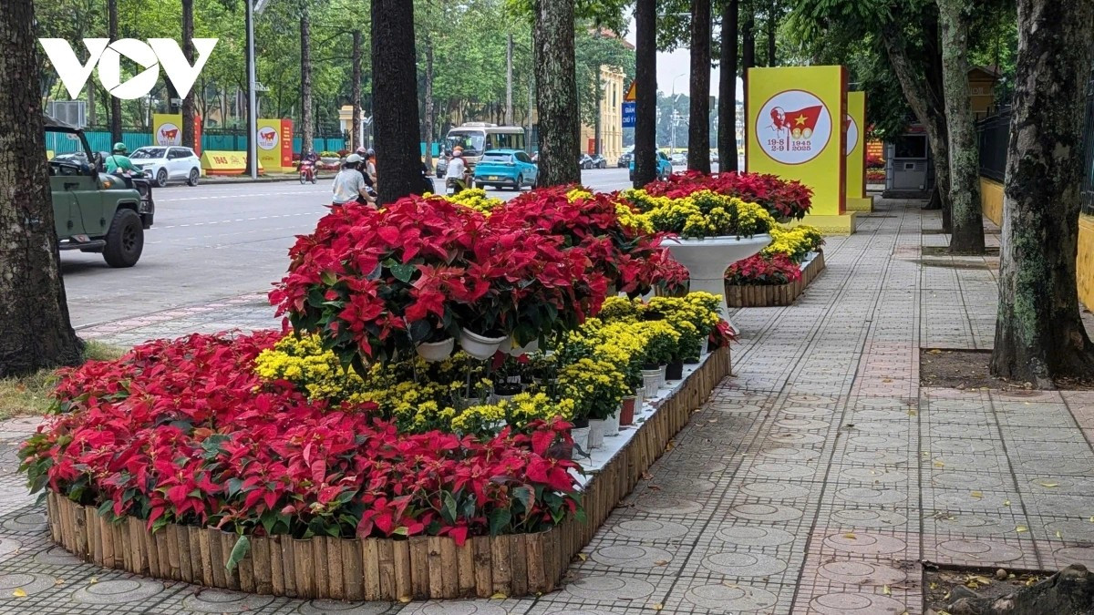 Dọc vỉa hè tuyến phố Hùng Vương, những chậu hoa rực rỡ khoe sắc, xen kẽ với hàng pa nô, áp phích nhiều màu được dựng san sát. Tất cả hòa quyện thành bức tranh đa sắc, tràn đầy hơi thở ngày hội lớn của đất nước đang đến rất gần.