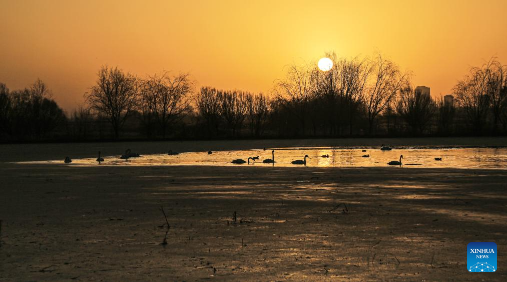 Bức ảnh này chụp trong một công viên ở Trương Dịch, tỉnh Cam Túc, tây bắc Trung Quốc, ngày 30/11/2025.