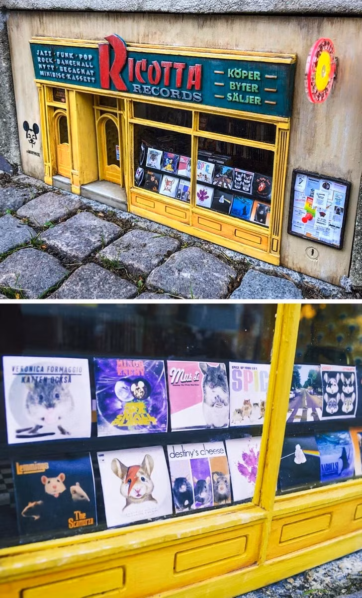 Một cửa hàng bán đĩa nhạc dành cho chuột ở Lund.