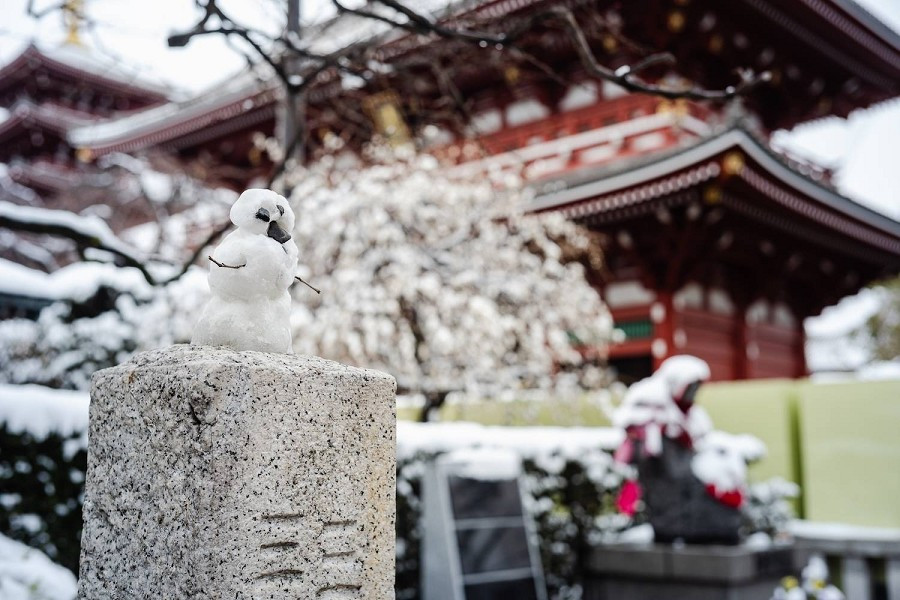 Ngoài ra, nhiều trường đại học, trong đó có Đại học Hosei và Đại học Chuo, thông báo rằng thời gian bắt đầu kỳ thi tuyển sinh đã bị hoãn lại do tuyết rơi dày. Ảnh: Một người tuyết nhỏ ở Tokyo. Ảnh: Japan Times.