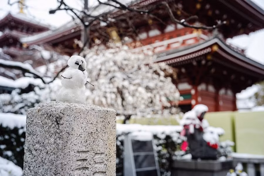 Ngoài ra, nhiều trường đại học, trong đó có Đại học Hosei và Đại học Chuo, thông báo rằng thời gian bắt đầu kỳ thi tuyển sinh đã bị hoãn lại do tuyết rơi dày. Ảnh: Một người tuyết nhỏ ở Tokyo. Ảnh: Japan Times.