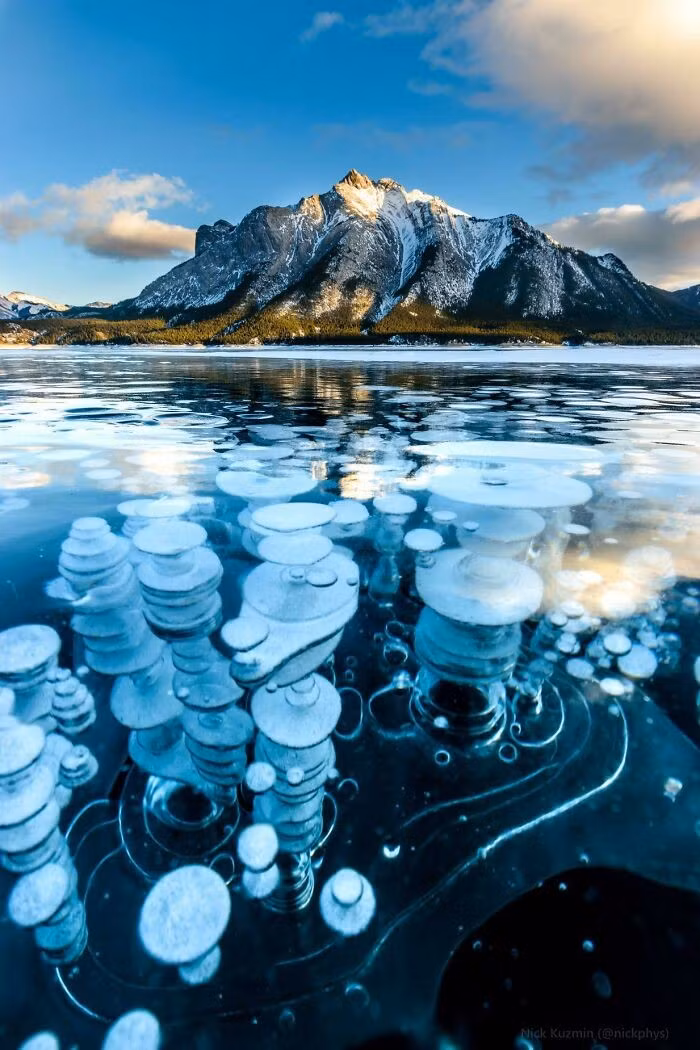 Cảnh tượng bong bóng khí mê-tan đóng băng tại hồ Abraham, Alberta, Canada.