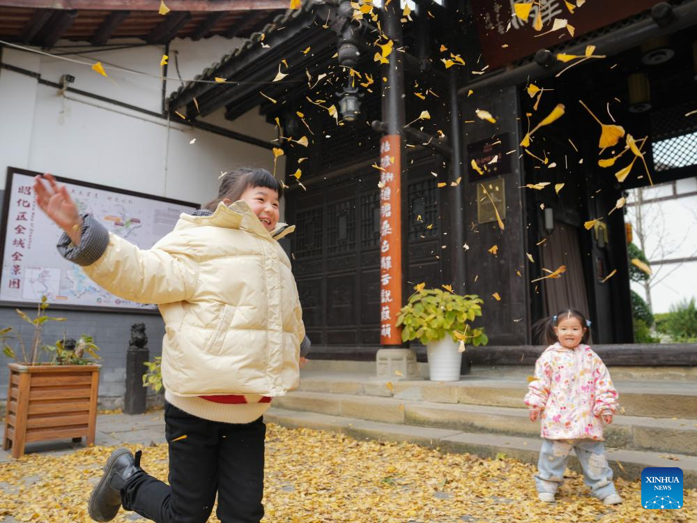 Hai em nhỏ chơi đùa dưới những cây bạch quả tại thị trấn cổ Zhaohua ngày 13/12/2025.