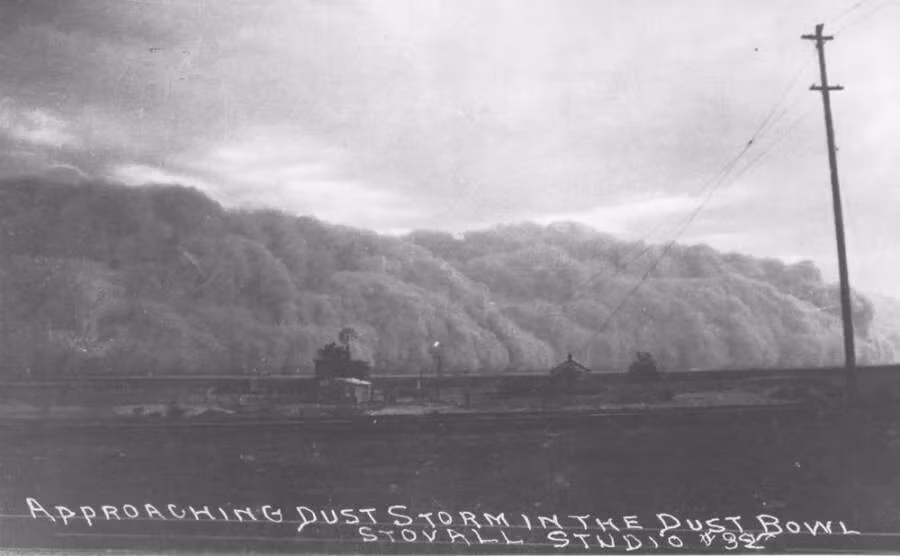 Bão bụi gây ra tình trạng viêm phổi do bụi, hay còn được gọi là bệnh dịch hạch nâu - một bệnh về đường hô hấp với các triệu chứng ho, sốt cao, đau ngực,...đặc biệt ảnh hưởng đến trẻ sơ sinh, trẻ nhỏ và người già.