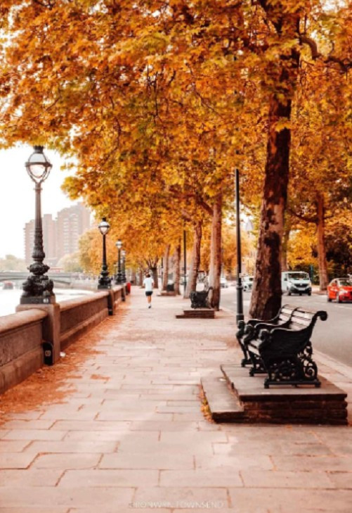 Bờ kè Chelsea cũng là một nơi tuyệt vời để đắm mình trong sắc thu rực rỡ.