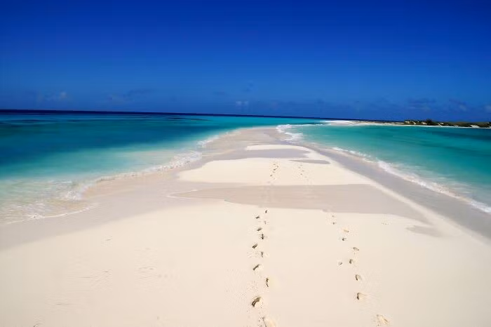 Cayo de Agua ở Los Roques, Venezuela, được ví như viên ngọc ẩn mình, là điểm đến mơ ước của những người yêu biển, thiên nhiên hoang sơ và sự tĩnh lặng tuyệt đối.