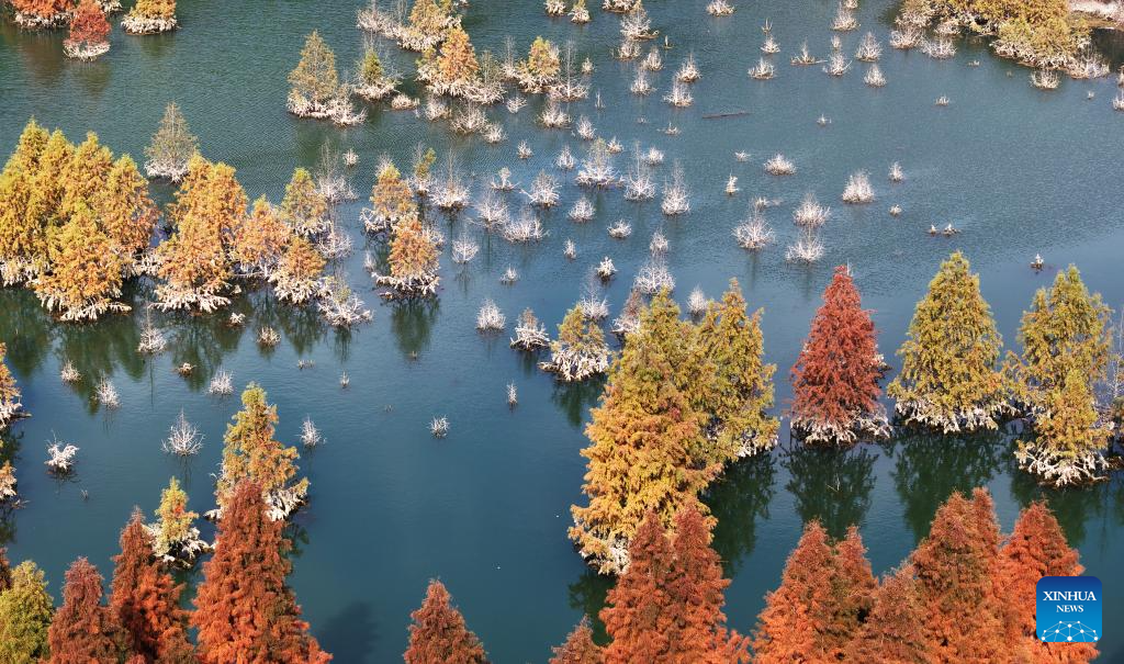 Ảnh chụp từ máy bay không người lái này vào ngày 14/12/2025 cho thấy phong cảnh mùa đông của một vùng đất ngập nước ở Côn Minh, tỉnh Vân Nam, tây nam Trung Quốc.