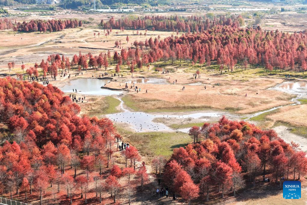 Ảnh chụp từ máy bay không người lái này vào ngày 14/12/2025 cho thấy phong cảnh mùa đông tại một địa điểm ở Taizhou, tỉnh Chiết Giang, miền đông Trung Quốc.